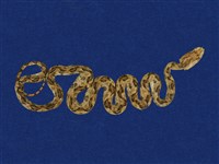 藏品(龜殼花)的圖片